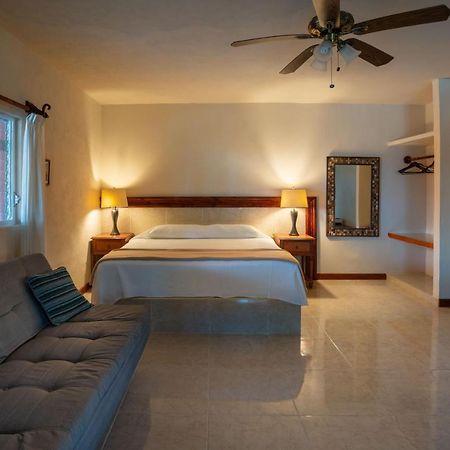 The Diving Lodge Downtown Puerto Morelos Exterior foto