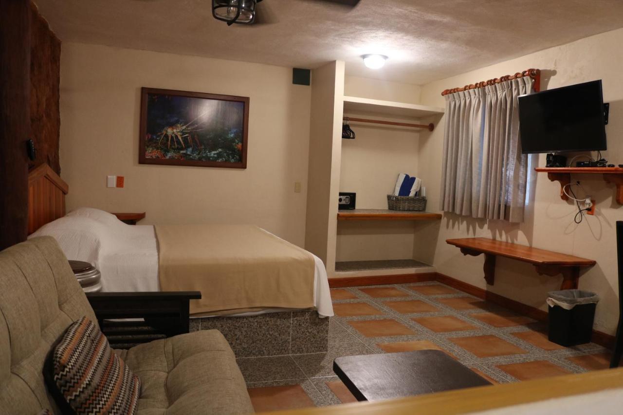 The Diving Lodge Downtown Puerto Morelos Exterior foto