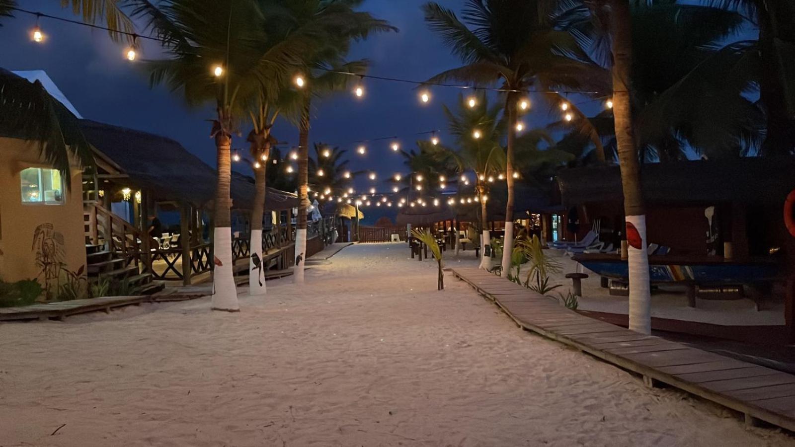 The Diving Lodge Downtown Puerto Morelos Exterior foto
